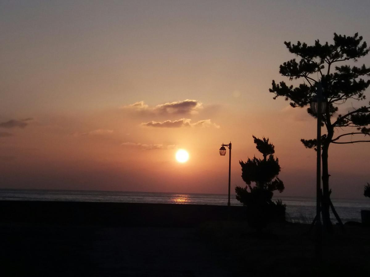 Bookmark Guesthouse Seogwipo Ngoại thất bức ảnh